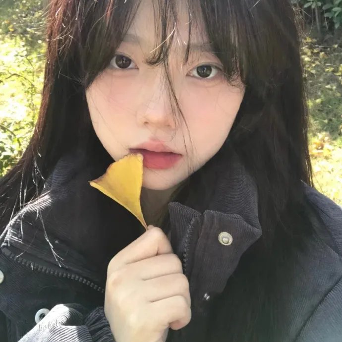 后视镜