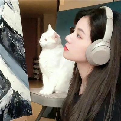 肥猫寻亲记